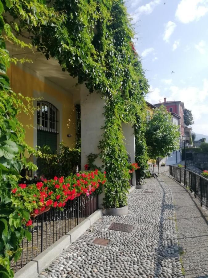 Viewtiful Homestay Stazzona Zewnętrze zdjęcie